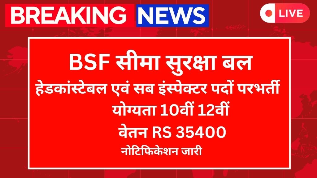 BSF Sub Inspector 162 Recruitment सीमा सुरक्षा बल ग्रुप बी एवं ग्रुप सी पदों पर भर्ती